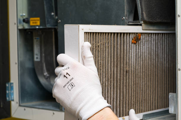 Best Air Duct Mold Removal  in Havelock, NC
