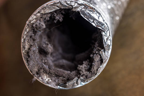 Best HVAC Air Duct Cleaning  in Havelock, NC