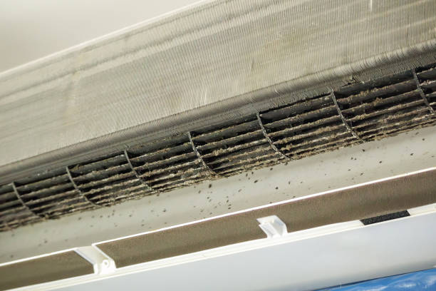 Best Home Air Vent Cleaning  in Havelock, NC