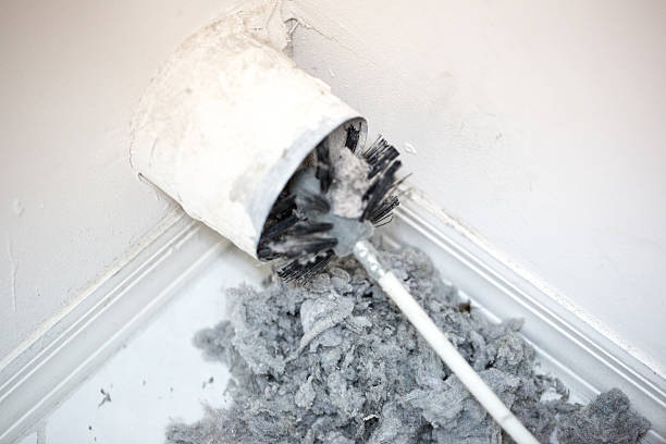 Best HVAC Air Duct Cleaning  in Havelock, NC